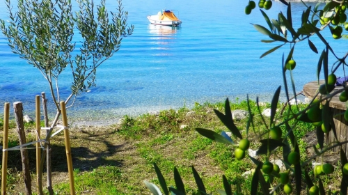 DUBROVNIK | PRVI RED DO MORA, UZ PLAŽU – U ZELENILU, STAN 55,49  m², TERASA, novogradnja